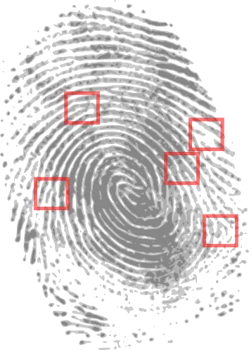 Contratar Detectives Privados en Angola: ¿Por qué Grupo Arga es la Mejor Opción? 1 Detectives Privados en Angola