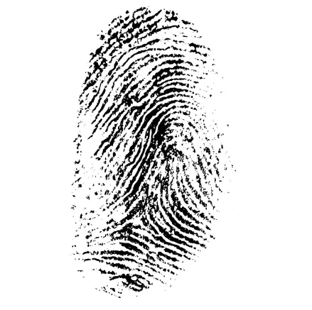 Detectives privados en Vegas del Genil