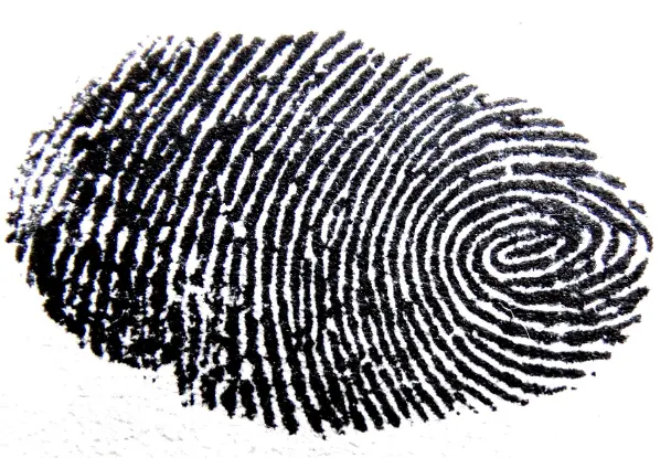 Detectives privados en Alcora