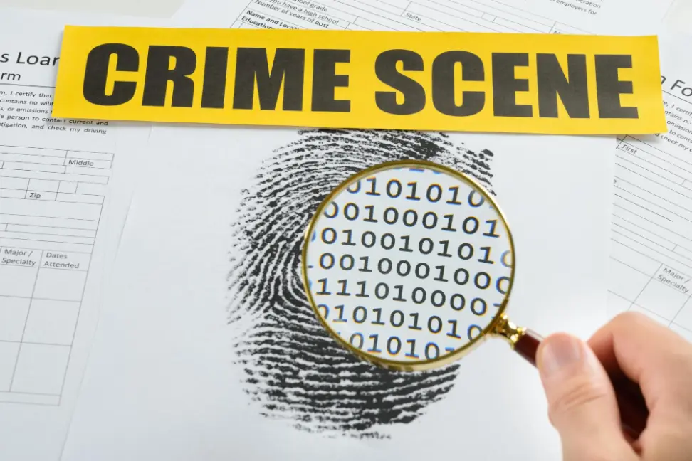 Cómo Identificar un Sitio Web Fraudulento: Consejos y Herramientas Útiles