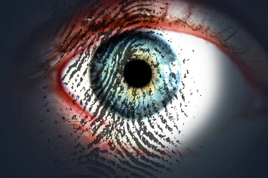 Demystifying the Profession: The Role of a Private Investigator in Society