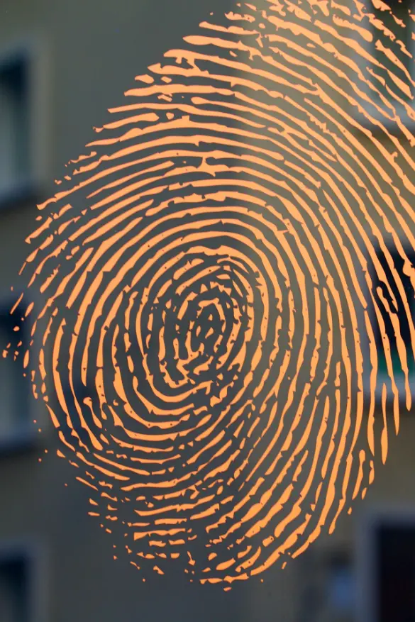 Private Investigators in Cuenca: Grupo Arga