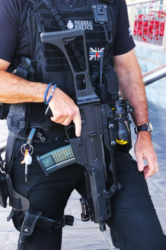 What does a private investigator do?