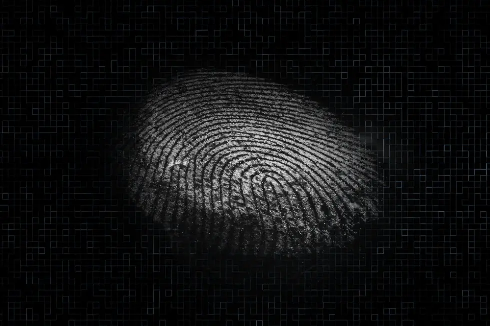 Técnicas Innovadoras: La Evolución de la Evasión en la Labor de los Detectives Privados