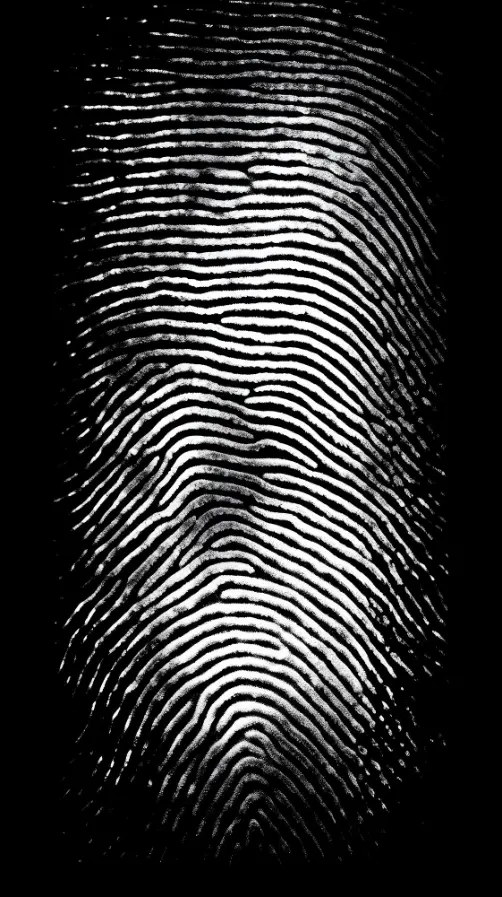 ¿Qué puedes hacer cuando un vehículo te está siguiendo? Estrategias para tu seguridad