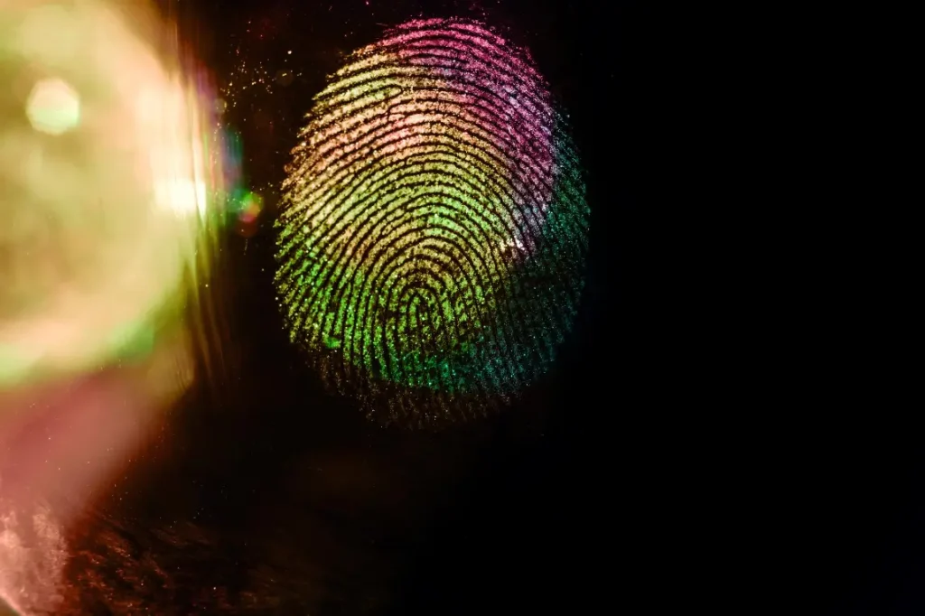 El arte de la investigación privada: todo lo que debes conocer 1 El arte de la investigación privada: todo lo que debes conocer